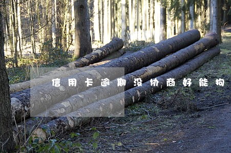 信用卡逾期没协商好能拘留吗 信用卡逾期没协商好能拘留吗