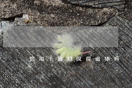 信用卡逾期没得退休吗 信用卡逾期没得退休吗