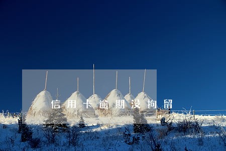 信用卡逾期没拘留