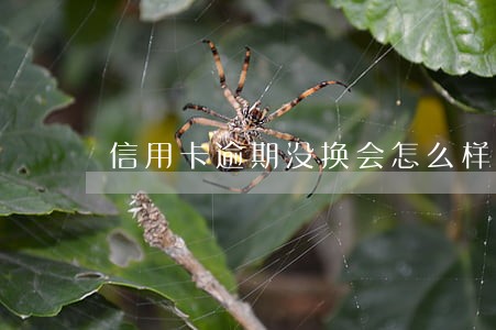 信用卡逾期没换会怎么样 信用卡逾期没换会怎么样