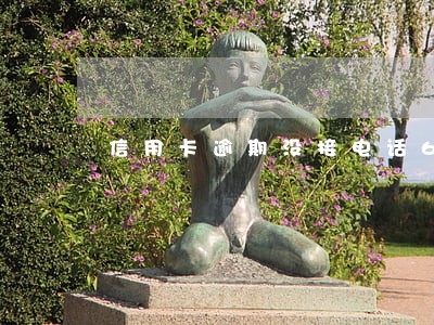 信用卡逾期没接电话6
