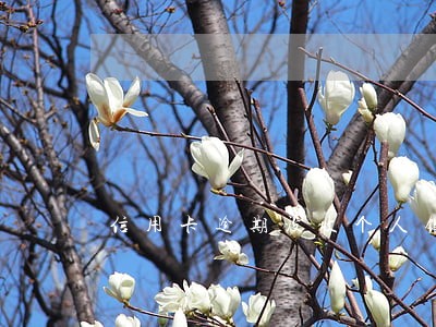 信用卡逾期没收个人银行卡 信用卡逾期没收个人银行卡