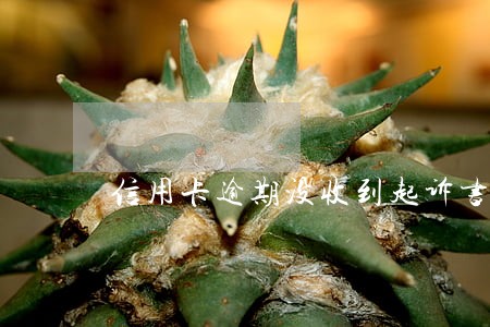 信用卡逾期没收到起诉书怎么处理