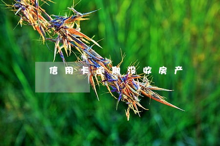 信用卡逾期没收房产 信用卡逾期没收房产