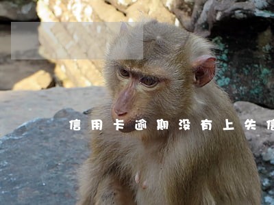 信用卡逾期没有上失信人名单 信用卡逾期没有上失信人名单