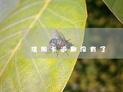 信用卡逾期没有了 信用卡逾期没有了