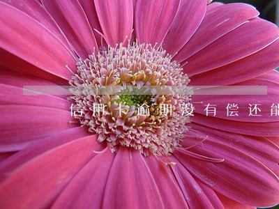 信用卡逾期没有偿还能力 信用卡逾期没有偿还能力