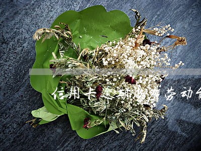 信用卡逾期没有劳动能力
