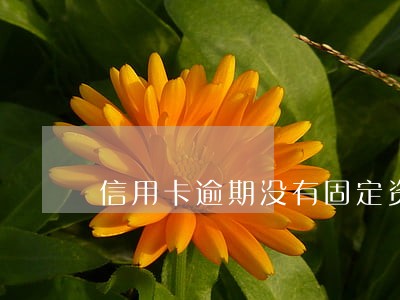 信用卡逾期没有固定资产 信用卡逾期没有固定资产