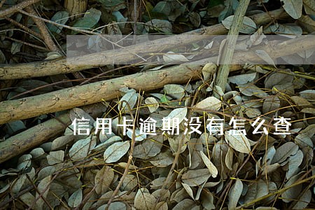 信用卡逾期没有怎么查 信用卡逾期没有怎么查