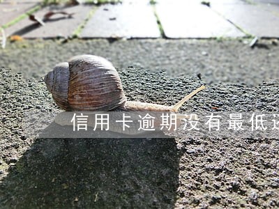 信用卡逾期没有最低还款了 信用卡逾期没有最低还款了