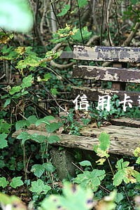 信用卡逾期没有滞纳金影响征信吗