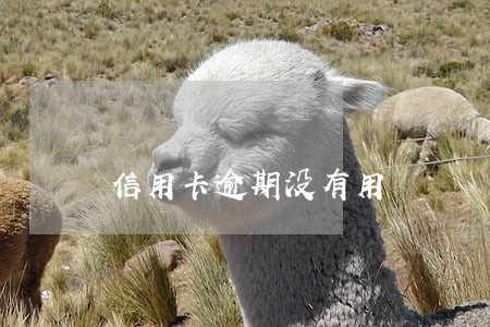 信用卡逾期没有用