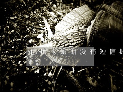信用卡逾期没有短信提醒