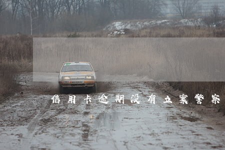 信用卡逾期没有立案警察抓吗 信用卡逾期没有立案警察抓吗