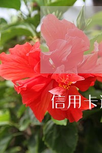 信用卡逾期没有绑定的卡会扣款吗