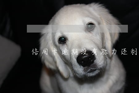 信用卡逾期没有能力还利息