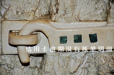 信用卡逾期没有账单明细 信用卡逾期没有账单明细