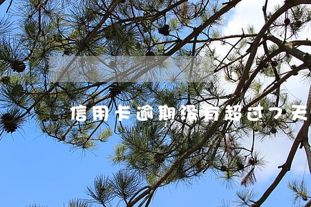 信用卡逾期没有超过7天 信用卡逾期没有超过7天