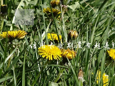 信用卡逾期没有超过90天 信用卡逾期没有超过90天