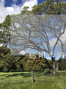 信用卡逾期没有还会判人吗 信用卡逾期没有还会判人吗