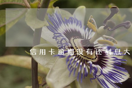 信用卡逾期没有还利息大于本金 信用卡逾期没有还利息大于本金