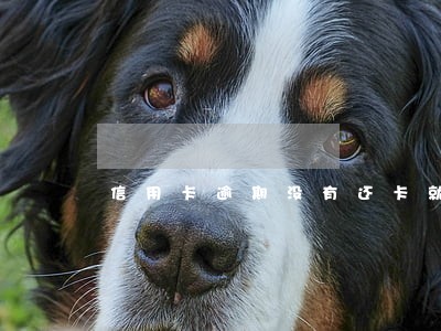 信用卡逾期没有还卡就被消了 信用卡逾期没有还卡就被消了