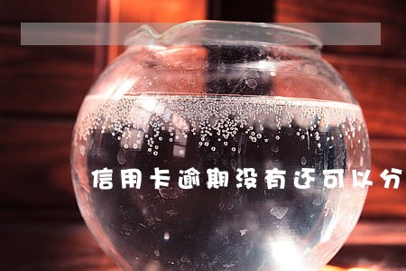 信用卡逾期没有还可以分期车吗 信用卡逾期没有还可以分期车吗