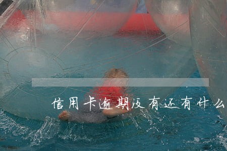 信用卡逾期没有还有什么后果