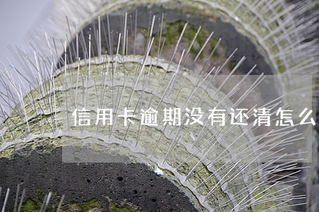 信用卡逾期没有还清怎么办 信用卡逾期没有还清怎么办