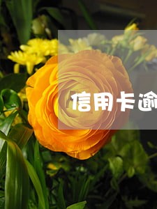 信用卡逾期没有还能办房贷吗 信用卡逾期没有还能办房贷吗