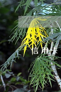 信用卡逾期没有还银行起诉
