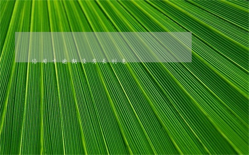 信用卡逾期没有长利息