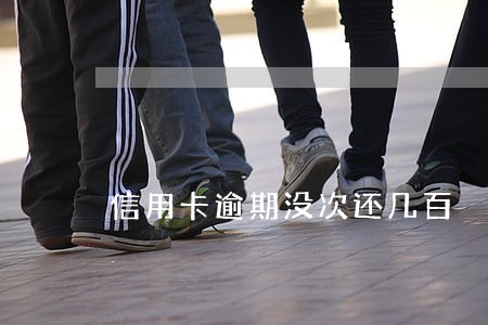 信用卡逾期没次还几百 信用卡逾期没次还几百