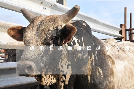 信用卡逾期没流过的电话 信用卡逾期没流过的电话