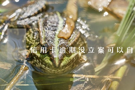 信用卡逾期没立案可以自首吗