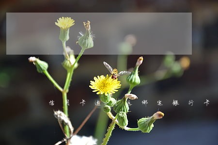 信用卡逾期没绑定银行卡 信用卡逾期没绑定银行卡