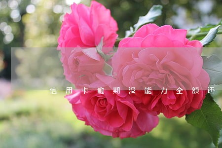 信用卡逾期没能力全额还款怎么办 信用卡逾期没能力全额还款怎么办