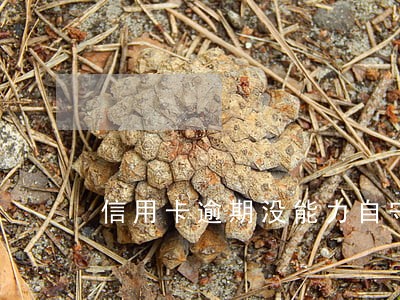 信用卡逾期没能力自守