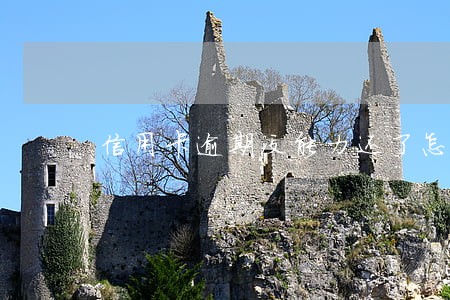 信用卡逾期没能力还了怎么协商 信用卡逾期没能力还了怎么协商