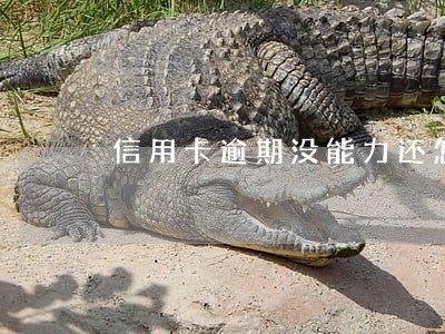 信用卡逾期没能力还怎么处理 信用卡逾期没能力还怎么处理