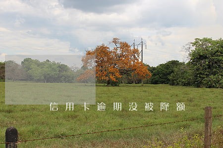 信用卡逾期没被降额 信用卡逾期没被降额