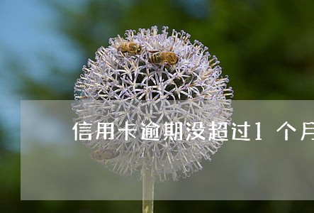 信用卡逾期没超过1个月 信用卡逾期没超过1个月