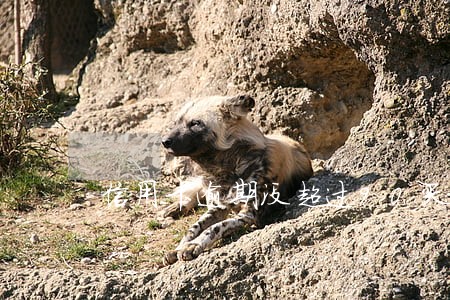 信用卡逾期没超过90天 信用卡逾期没超过90天