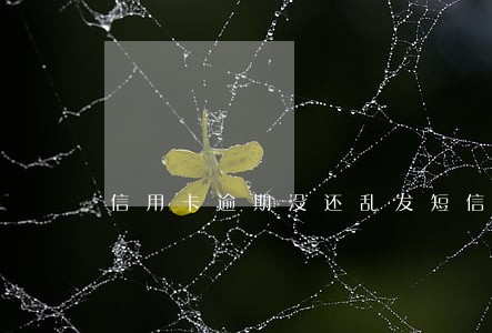 信用卡逾期没还乱发短信 信用卡逾期没还乱发短信