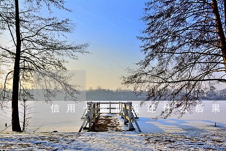 信用卡逾期没还什么后果 信用卡逾期没还什么后果