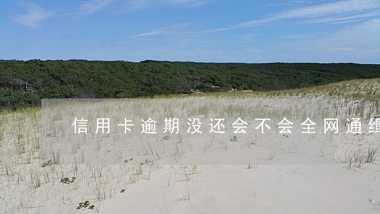 信用卡逾期没还会不会全网通缉