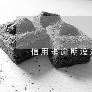 信用卡逾期没还会不会坐牢 信用卡逾期没还会不会坐牢
