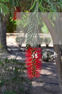 信用卡逾期没还会冻结微信吗 信用卡逾期没还会冻结微信吗