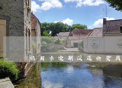 信用卡逾期没还会变成黑户吗 信用卡逾期没还会变成黑户吗